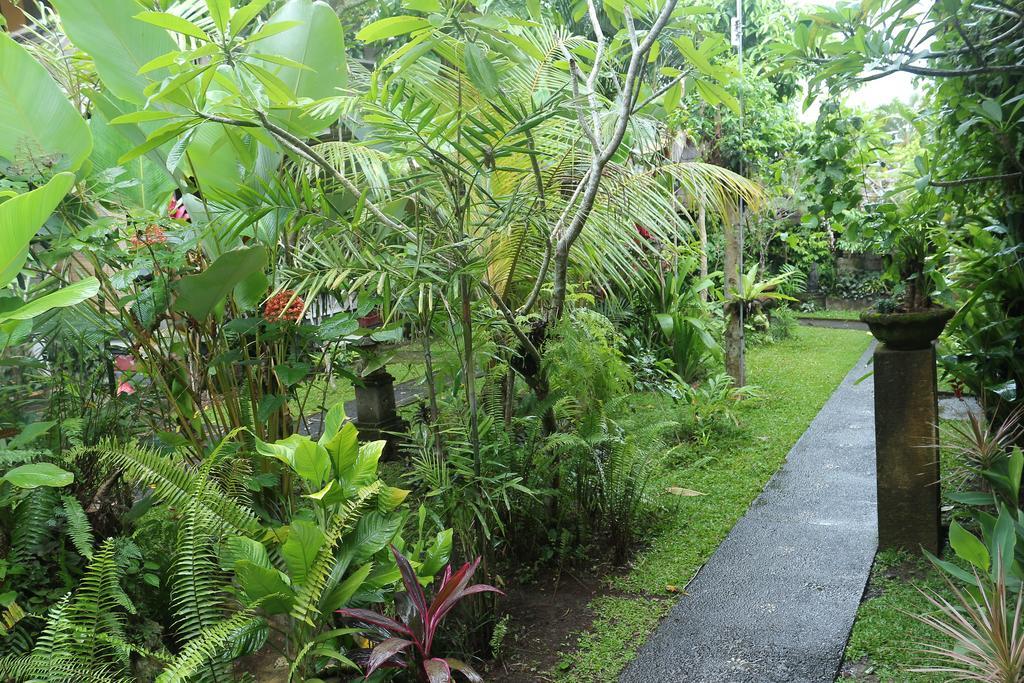 Karang Mesari Ubud Guest House Exterior photo