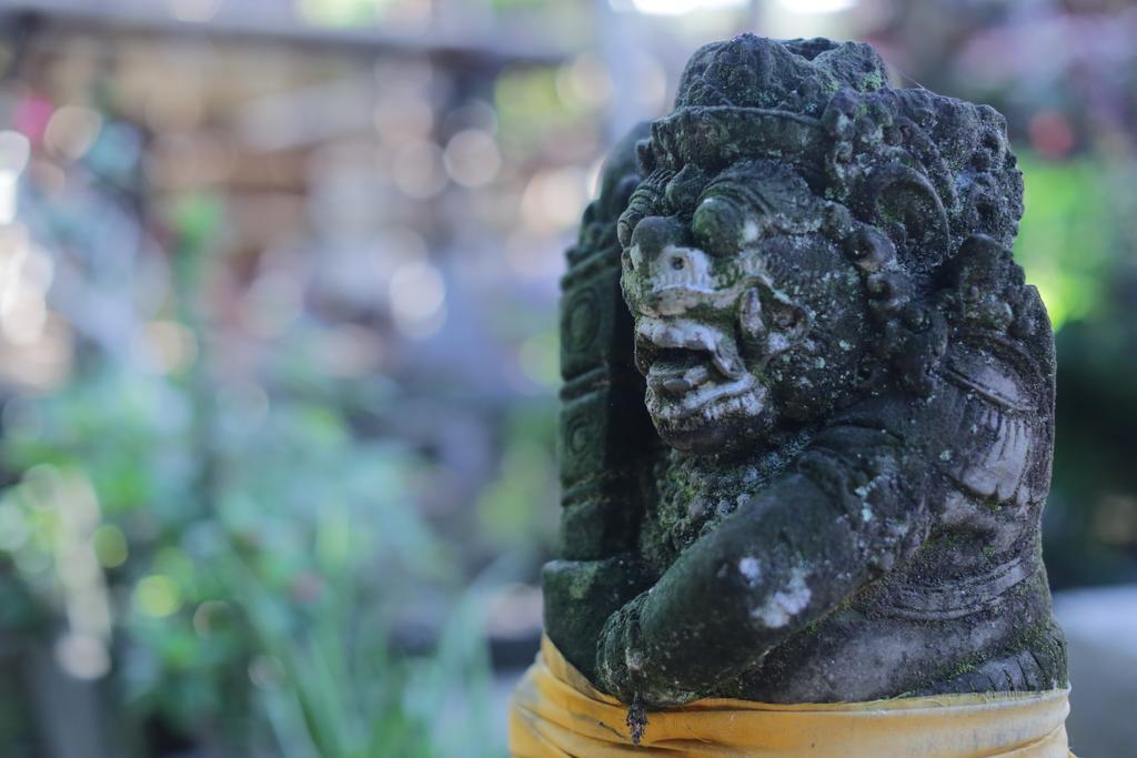 Karang Mesari Ubud Guest House Exterior photo