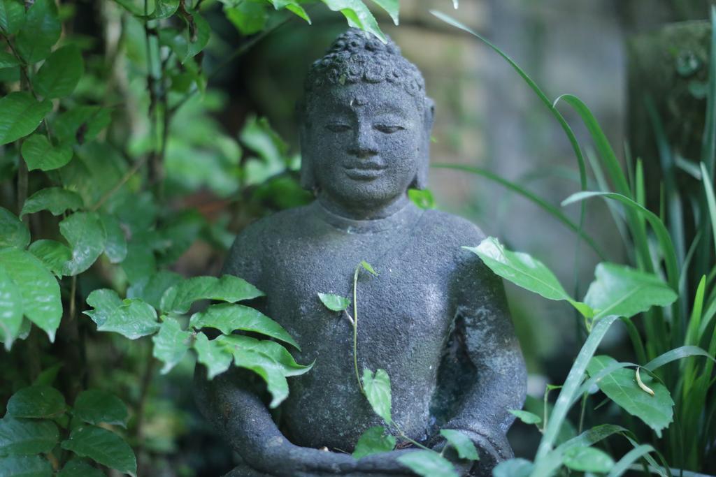 Karang Mesari Ubud Guest House Exterior photo