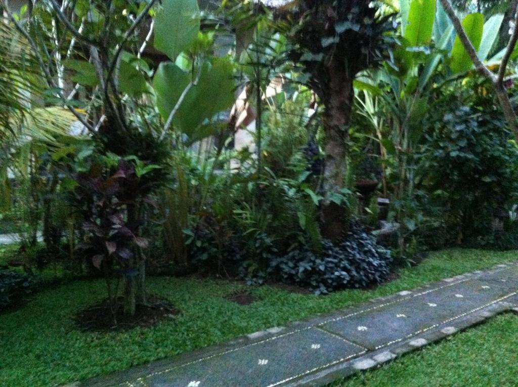 Karang Mesari Ubud Guest House Exterior photo